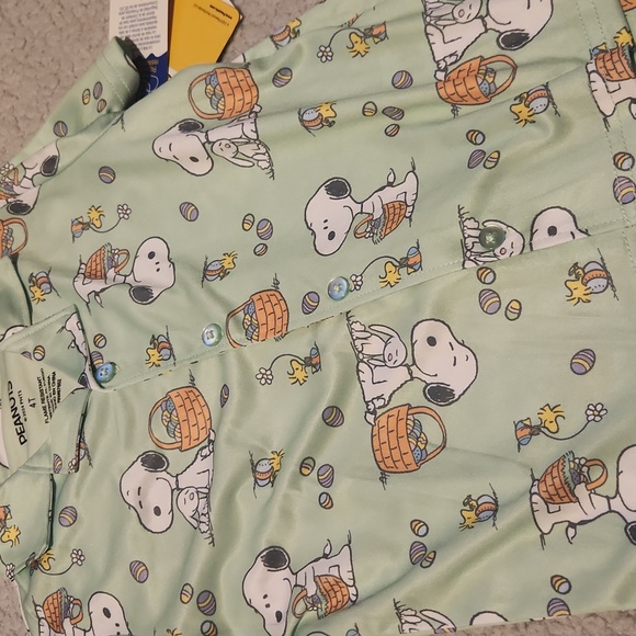 Brand New, Girl Toddler Easte, St. Patrick's Day Outfits 4T (4/5) - Picture 5 of 5